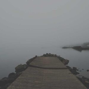 JBL Charge 5 Portable Speaker